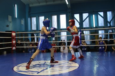 Более 150 юных боксеров выступают на первенстве ДНР в Донецке