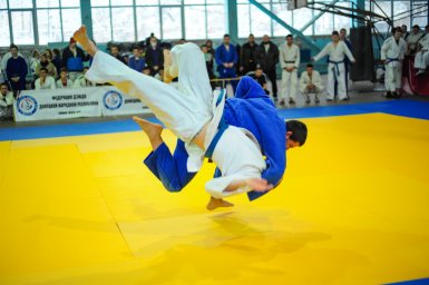 В Донецке прошел Чемпионат ДНР по дзюдо
