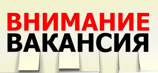 ​В Министерстве молодежи, спорта и туризма ДНР открыты вакансии для замещения должностей государственной гражданской службы ДНР