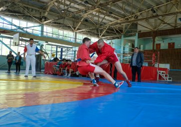 В Донецке прошло первенство по борьбе самбо