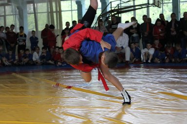 В Донецке прошло первенство ДНР по самбо