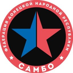 В Торезе прошли показательные выступления самбистов в рамках проекта «Самбо в садик»