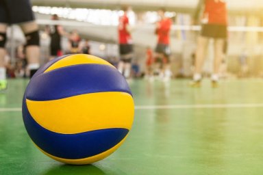 Спортивная делегация ветеранов спорта отправилась в Краснодарский край