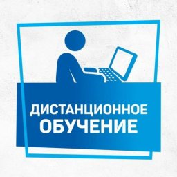 Учебный год 2023-2024 гг. в спортивных учреждениях пройдет в дистанционном формате