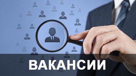 В Министерство молодежи, спорта и туризма ДНР требуются: