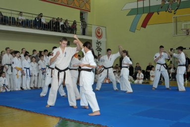 ​В Новом Свете прошли соревнования по киокусинкай
