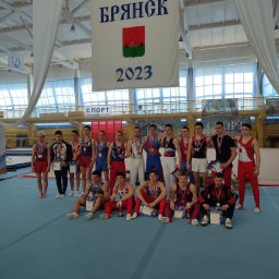 Наши спортсмены еще завоевали медали по спортивной гимнастике