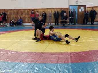 В Донецке прошел Кубок ДНР по спортивной борьбе