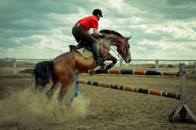 Югра передала спортивный инвентарь макеевским наездникам