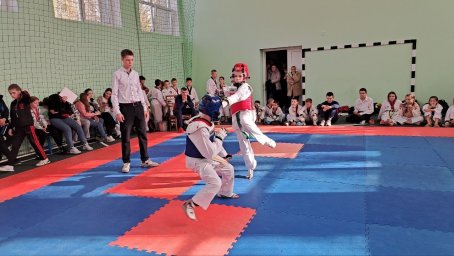 Прошли Открытый Чемпионат и Первенство Донецкой Народной Республики по тхэквондо