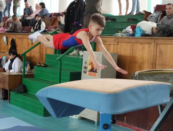В Донецке состоялся Открытый кубок Главы Республики по спортивной гимнастике