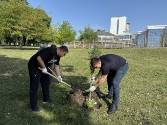 Всероссийский субботник!