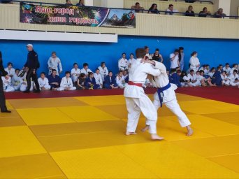 В Шахтерске состоялось первенство ДНР по дзюдо