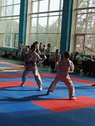 Прошли Открытый Кубок, Первенство и Фестиваль по всестилевому каратэ