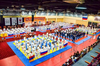 Первые победы на чемпионате мира по всестилевому каратэ