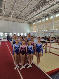 Гимнастки ДНР заняли 4 место  на Чемпионате и Первенстве ЮФО  и СКФО
