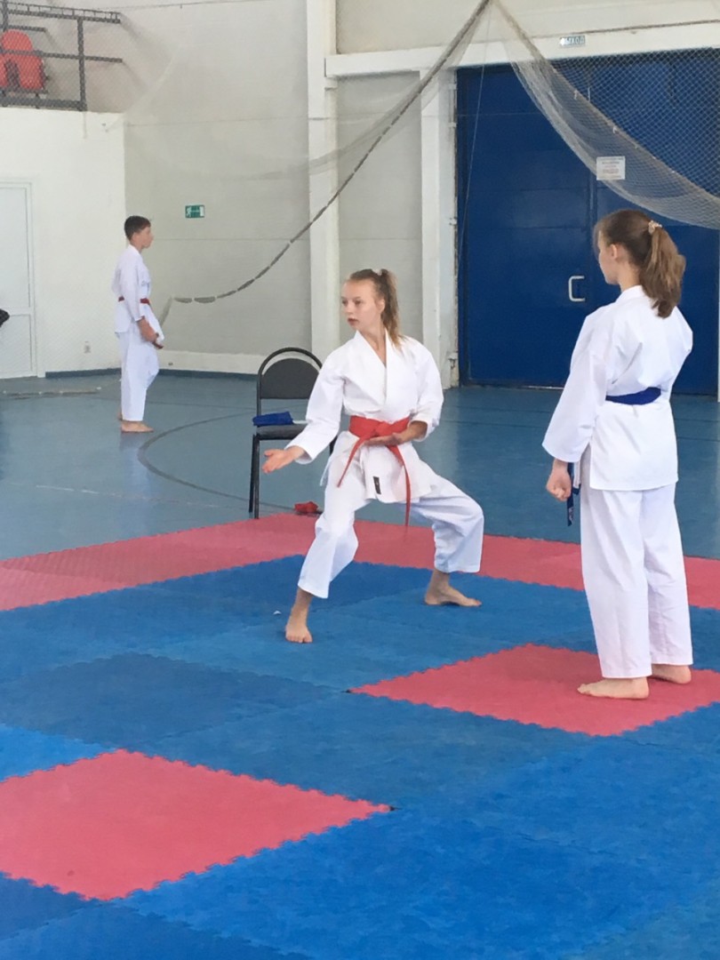 Спортсмены из Макеевки завоевали 29 медалей на чемпионате ЮФО по каратэ WSF