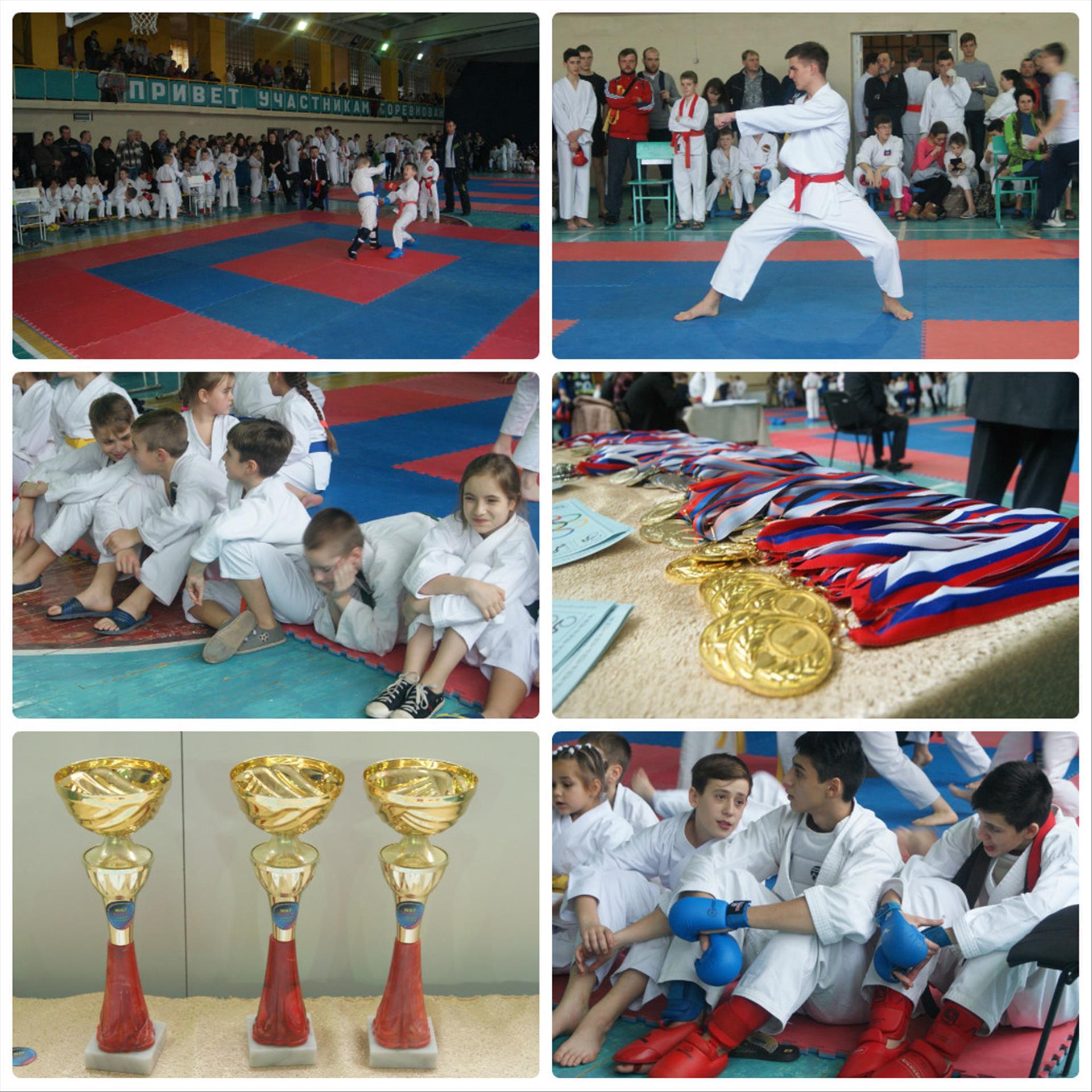 Открытый Республиканский турнир по каратэ WKF "Боец" в Горловке