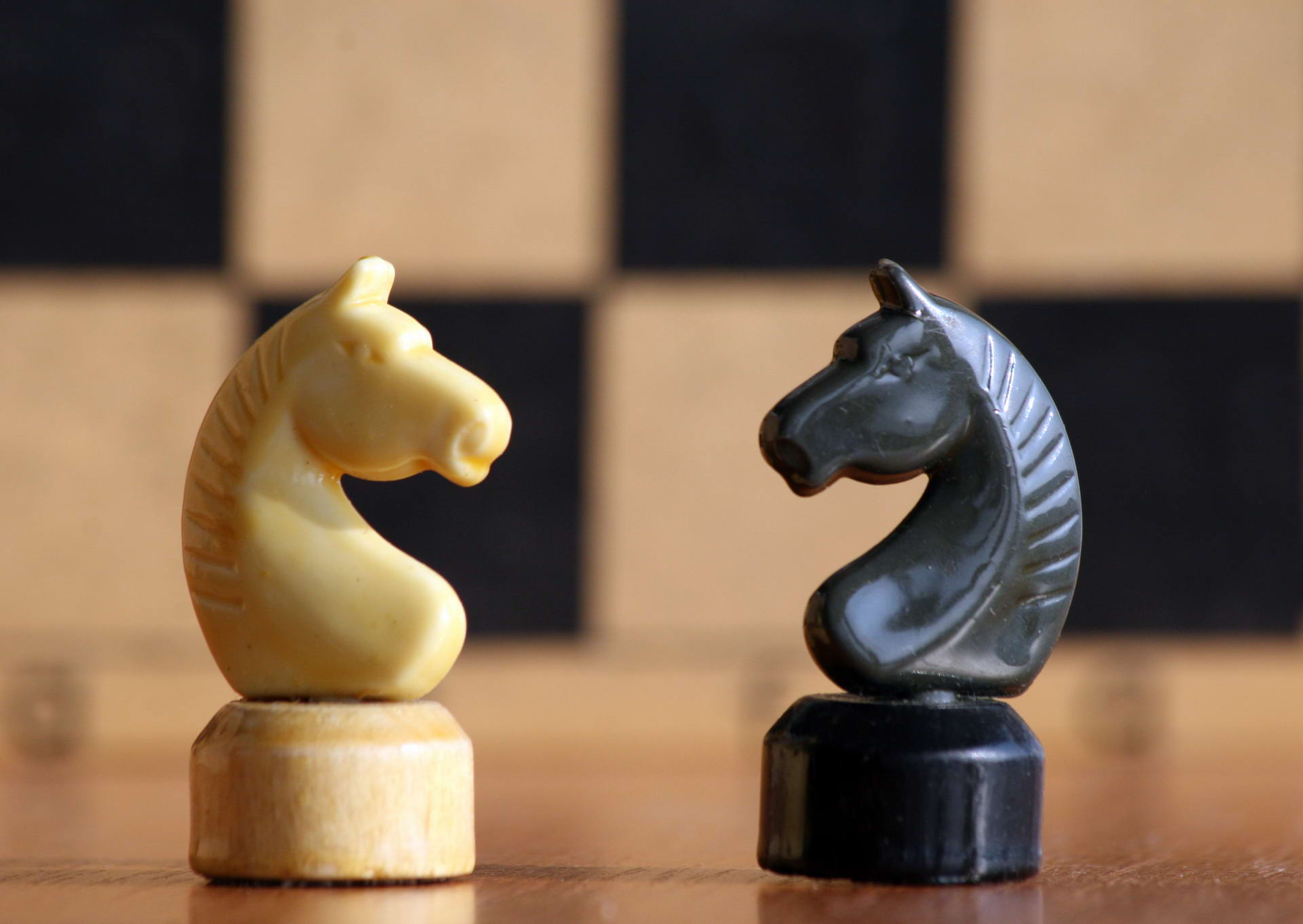 2 коня шахматы. « Ход конём» шахматно-шашечный турнир. Шахматный конь. Конь шахматы. Фигура коня в шахматах.